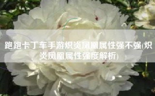 跑跑卡丁车手游炽炎凤凰属性强不强(炽炎凤凰属性强度解析)