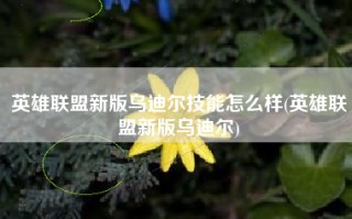 英雄联盟新版乌迪尔技能怎么样(英雄联盟新版乌迪尔)