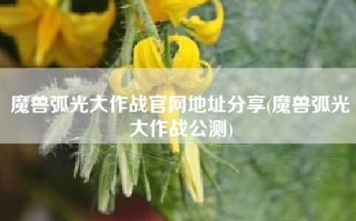 魔兽弧光大作战官网地址分享(魔兽弧光大作战公测)
