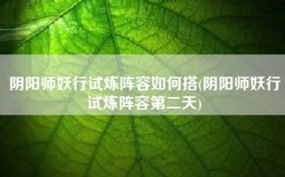 阴阳师妖行试炼阵容如何搭(阴阳师妖行试炼阵容第二天)