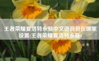 王者荣耀夏洛特永昼中文语音包在哪里设置(王者荣耀夏洛特永昼)