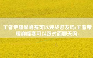 王者荣耀巅峰赛可以观战好友吗(王者荣耀巅峰赛可以跟对面聊天吗)