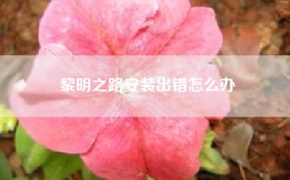黎明之路安装出错怎么办