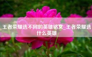 王者荣耀选不同的英雄铭文_王者荣耀选什么英雄