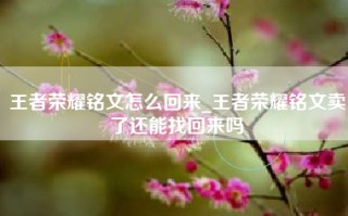 王者荣耀铭文怎么回来_王者荣耀铭文卖了还能找回来吗