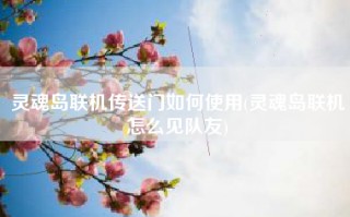 灵魂岛联机传送门如何使用(灵魂岛联机怎么见队友)