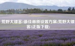 荒野大镖客2最佳画质设置方案(荒野大镖客2正版下载)
