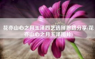 花亦山心之月玉泽四艺选择思路分享(花亦山心之月玉泽图片)