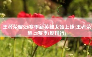 王者荣耀S28赛季新英雄戈娅上线(王者荣耀s28赛季t度排行)