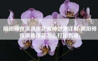 阴阳师夜溟彼岸花溟种效果详解(阴阳师夜溟彼岸花怎么打出伤害)