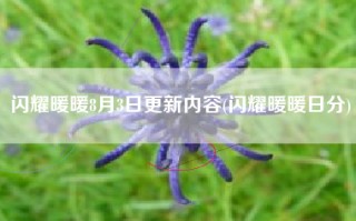 闪耀暖暖8月3日更新内容(闪耀暖暖日分)