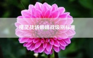 魔灵战场巅峰战级别标准