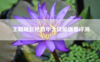 王朝崛起枪盾甲士技能强度评测