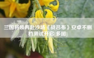 三国将领再赴沙场《战吕布》安卓不删档测试开启[多图]