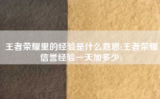 王者荣耀里的经验是什么意思(王者荣耀信誉经验一天加多少)