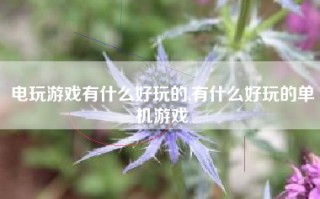 电玩游戏有什么好玩的,有什么好玩的单机游戏