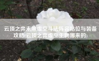 云顶之弈未来虚空斗法阵容站位与装备攻略(云顶之弈虚空生物哪来的)