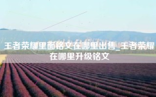 王者荣耀里面铭文在哪里出售_王者荣耀在哪里升级铭文