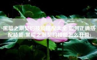 黑暗之潮契约技能搭配大全 如何正确搭配技能(黑暗之潮契约技能怎么升级)