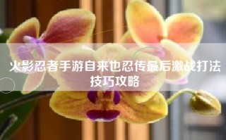 火影忍者手游自来也忍传最后激战打法技巧攻略