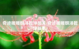 奇迹暖暖麟泽乾坤图片(奇迹暖暖麟泽乾坤故事)