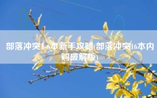 部落冲突1-6本新手攻略(部落冲突16本内购破解版)