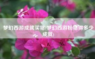 梦幻西游成就买猪(梦幻西游粉猪得多少成就)