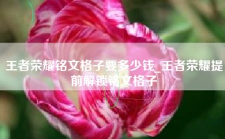 王者荣耀铭文格子要多少钱_王者荣耀提前解锁铭文格子
