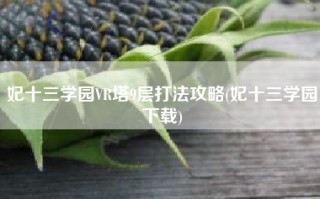妃十三学园VR塔9层打法攻略(妃十三学园下载)