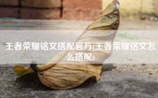 王者荣耀铭文搭配官方(王者荣耀铭文怎么搭配)