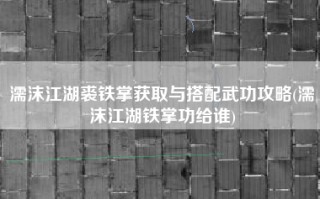 濡沫江湖裘铁掌获取与搭配武功攻略(濡沫江湖铁掌功给谁)