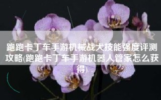 跑跑卡丁车手游机械战犬技能强度评测攻略(跑跑卡丁车手游机器人管家怎么获得)