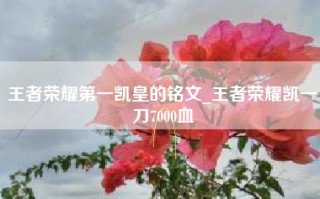 王者荣耀第一凯皇的铭文_王者荣耀凯一刀7000血