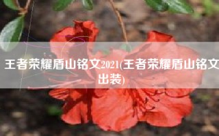 王者荣耀盾山铭文2021(王者荣耀盾山铭文出装)
