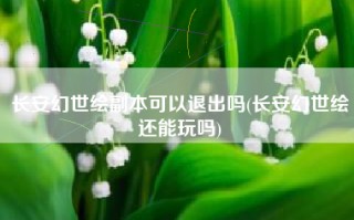 长安幻世绘副本可以退出吗(长安幻世绘还能玩吗)
