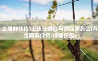 金庸群侠传5主线任务白马啸西风怎么过(金庸群侠传5神雕侠侣)