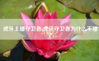 虎牙主播守卫者(虎牙守卫者为什么不播了)