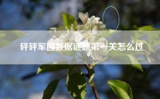 砰砰军团数据谜题第一关怎么过