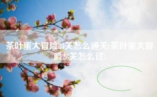 茶叶蛋大冒险23关怎么通关(茶叶蛋大冒险23关怎么过)