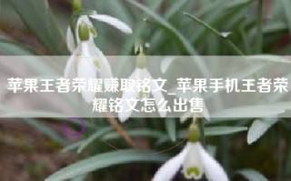 苹果王者荣耀赚取铭文_苹果手机王者荣耀铭文怎么出售