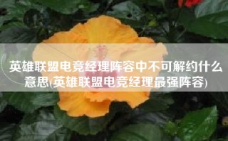英雄联盟电竞经理阵容中不可解约什么意思(英雄联盟电竞经理最强阵容)