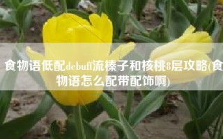 食物语低配debuff流榛子和核桃8层攻略(食物语怎么配带配饰啊)