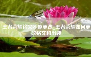 王者荣耀铭文不能更改_王者荣耀如何更改铭文和出装