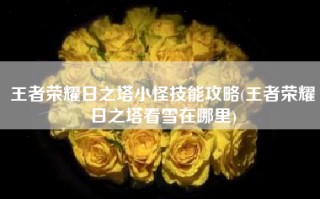 王者荣耀日之塔小怪技能攻略(王者荣耀日之塔看雪在哪里)