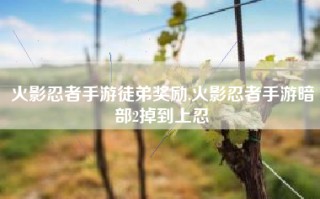 火影忍者手游徒弟奖励,火影忍者手游暗部2掉到上忍