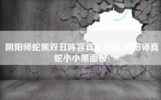 阴阳师蛇黑双丑阵容真蛇攻略(阴阳师真蛇小小黑面板)