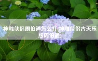 神雕侠侣周伯通怎么打(神雕侠侣古天乐版周伯通)