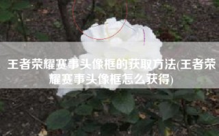 王者荣耀赛事头像框的获取方法(王者荣耀赛事头像框怎么获得)