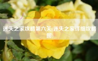 迷失之家攻略第六关(迷失之家详细攻略图)