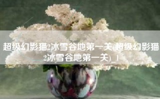 超级幻影猫2冰雪谷地第一关(超级幻影猫2冰雪谷地第一关)_1